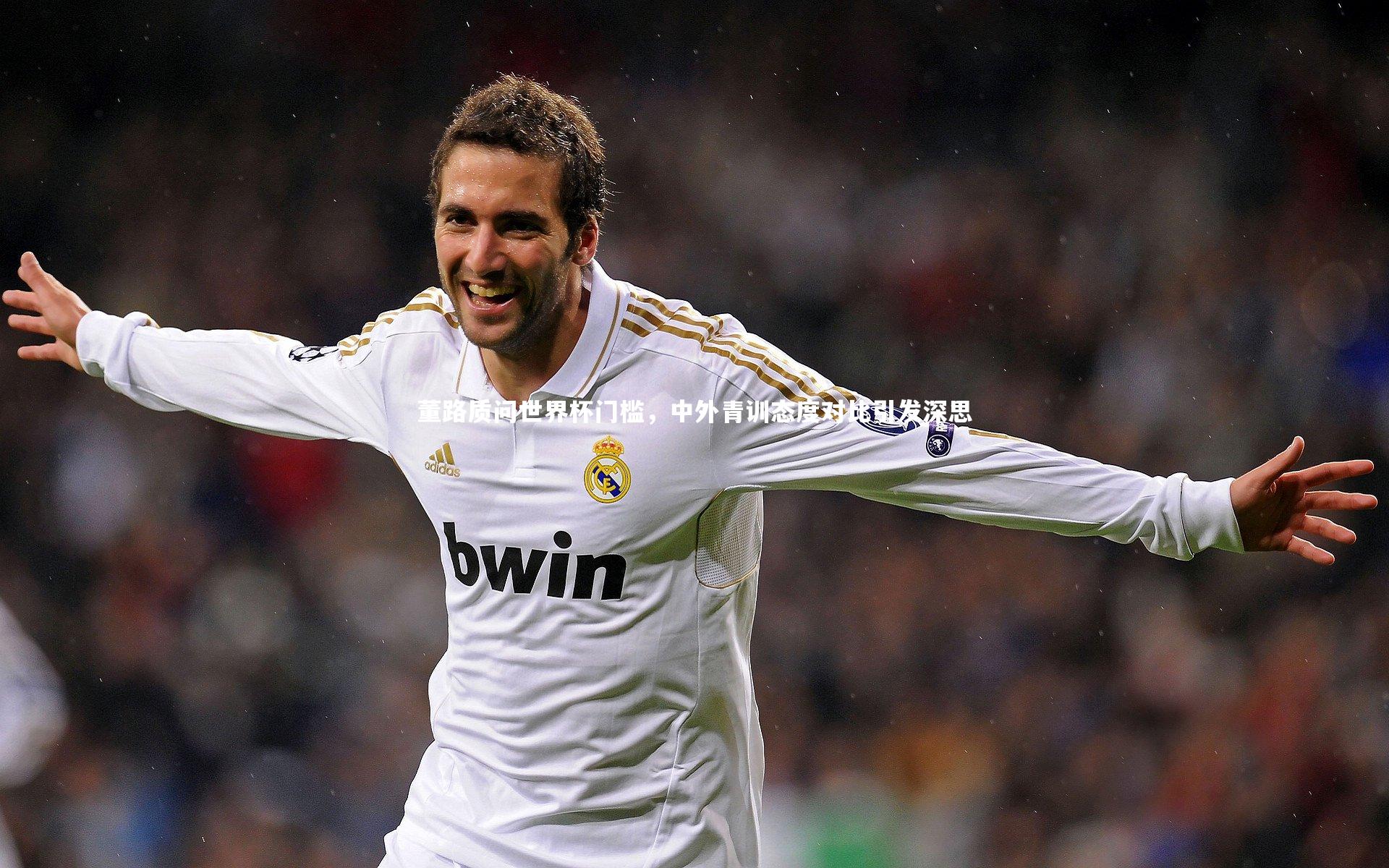 fb体育：董路质问世界杯门槛，中外青训态度对比引发深思